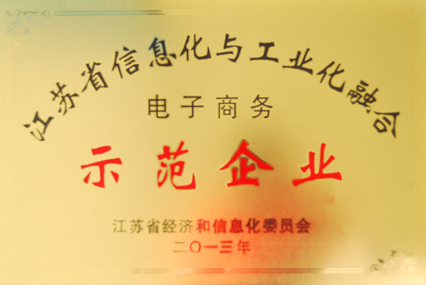 信息化與工業(yè)化電子商務(wù)示范企業(yè)